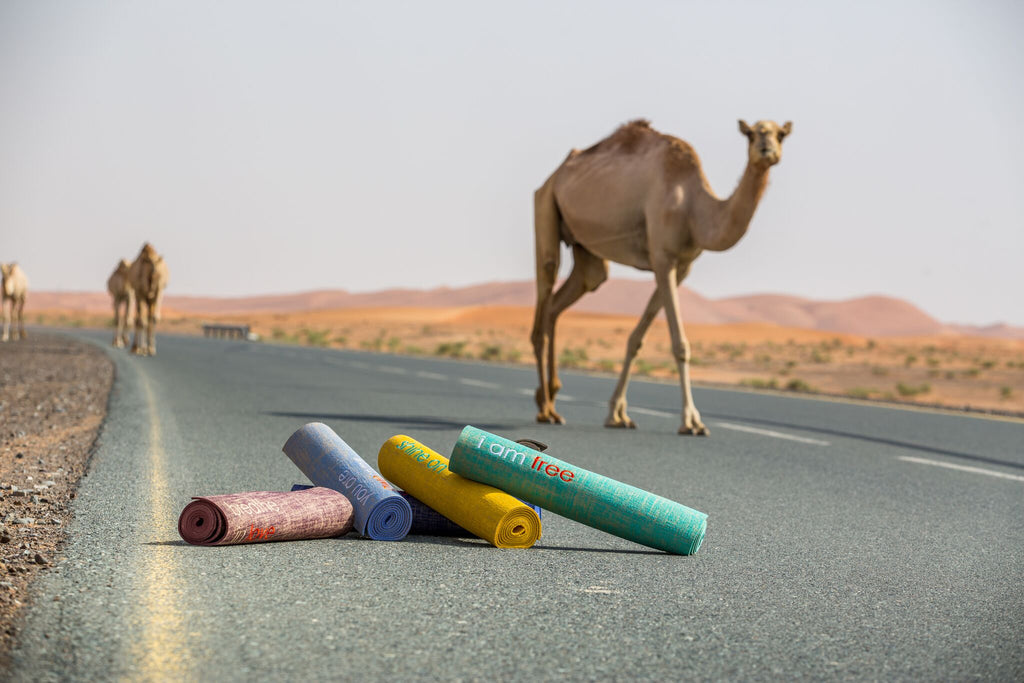 Super Blue Blood Moon 2018: What to do and why