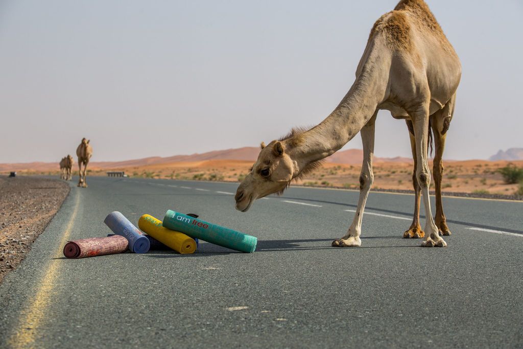 Best Yoga Poses For Anxiety Relief